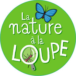 La nature à la loupe