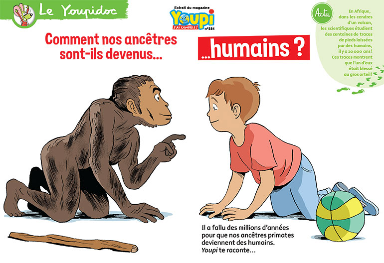 Youpi n°384 - “Comment nos ancêtres sont-ils devenus humains ?”