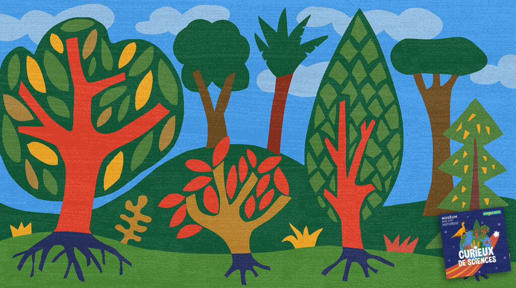 “À quoi servent les arbres ?” Podcast pour enfants “Curieux de sciences” Bayard Jeunesse - Muséum national d'Histoire naturelle.