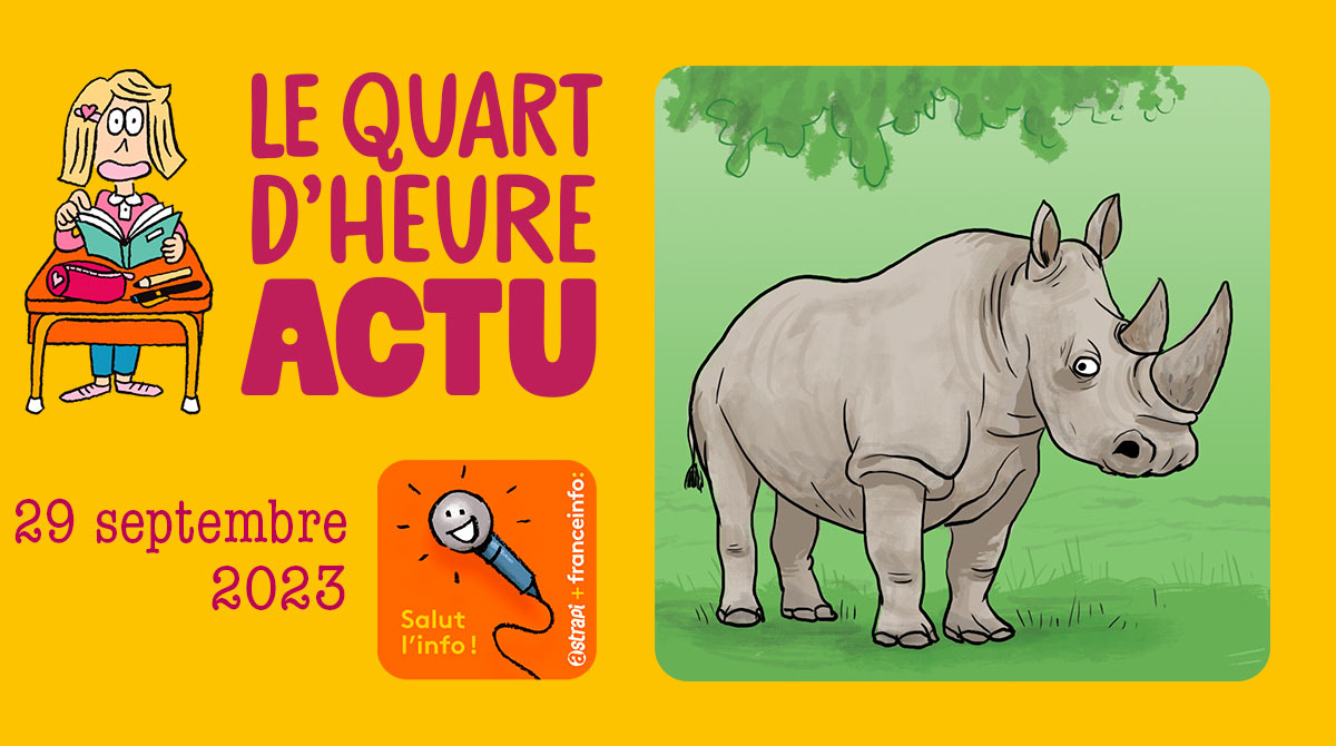 Salut l'info ! Quart d'heure Actu du 29 septembre 2023. Augmentation de la population des rhinocéros en Afrique.