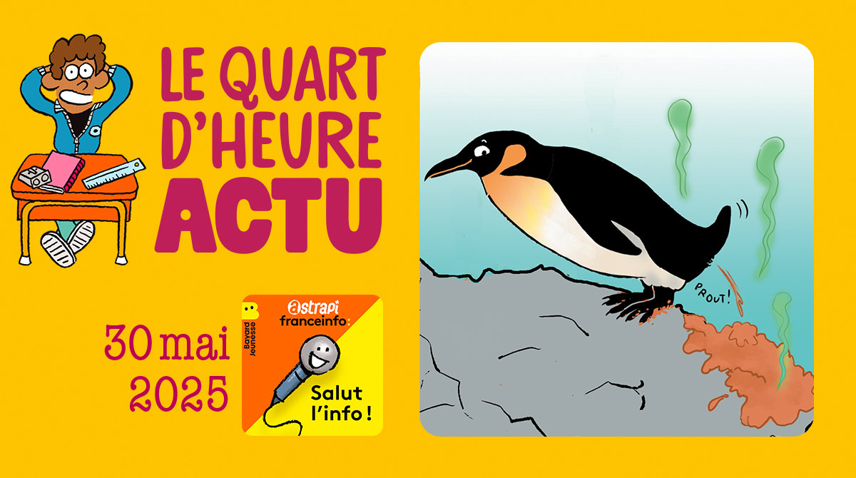 Quart d'heure Actu du 30 mai 2025. Manchots. Illustrations : El don Guillermo et Zelda Zonk.