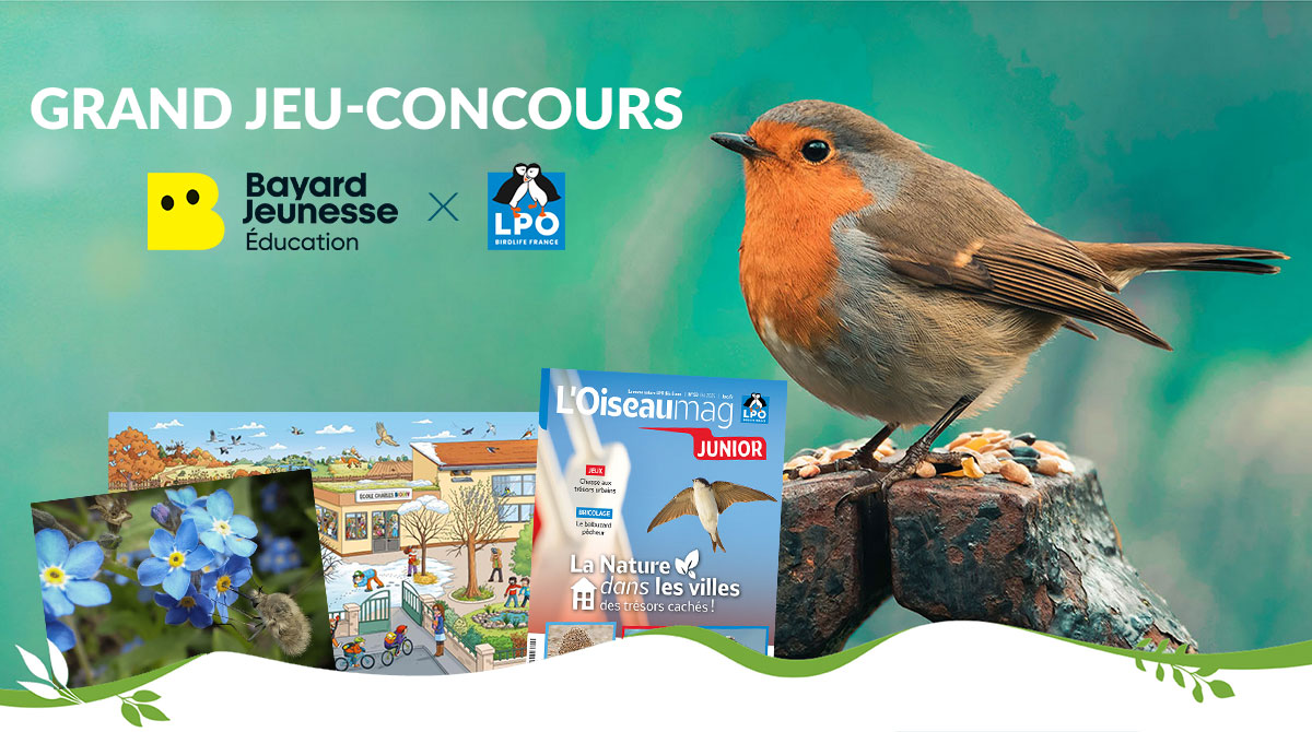 Participez au jeu-concours “biodiversité” avec la LPO