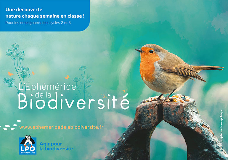 Participez au jeu-concours “biodiversité” avec la LPO