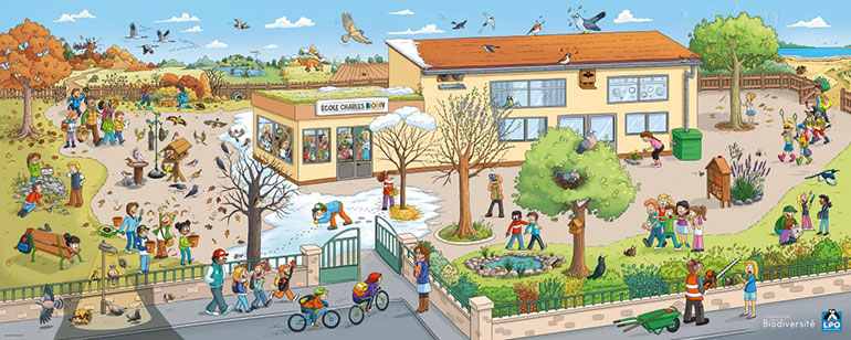 Participez au jeu-concours “biodiversité” avec la LPO