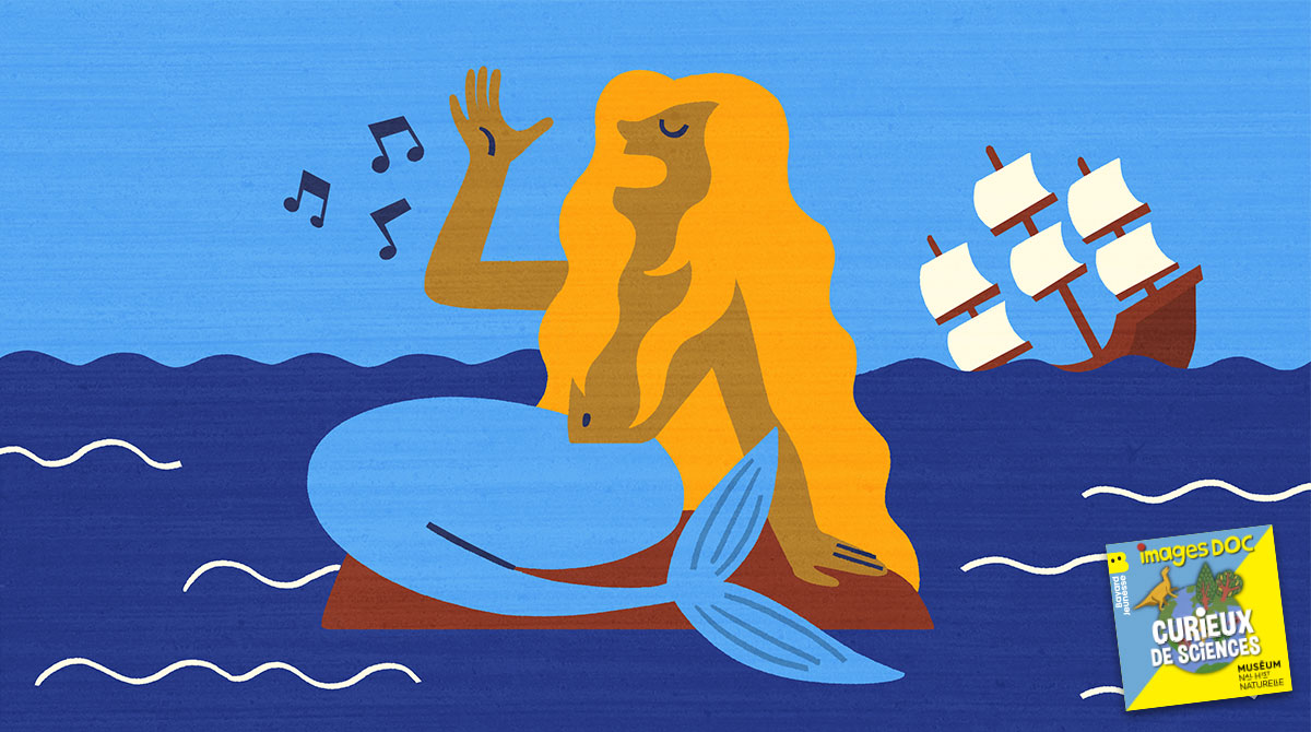 Podcast pour les enfants “Curieux de sciences” : “Les sirènes existent-elles ?”, avec Hélène Artaud , anthropologue de la mer.