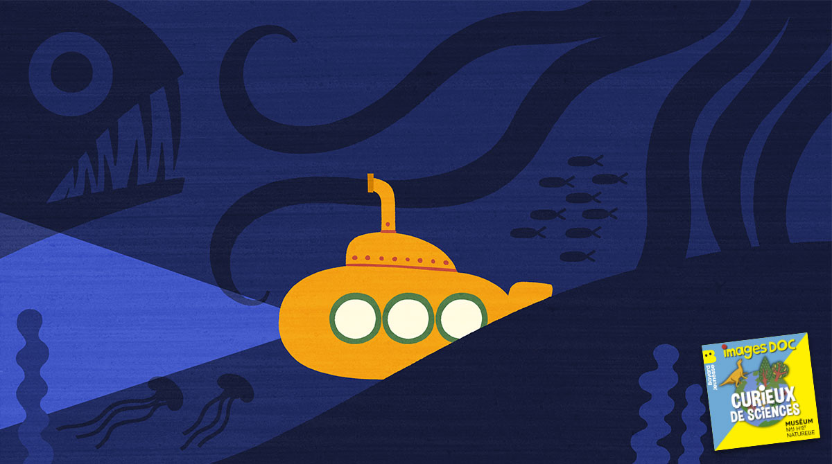 Podcast pour les enfants “Curieux de sciences” : “Est-ce qu'il y a des poissons tout au fond de la mer ?”, avec Samuel Iglesias, ichtyologiste.