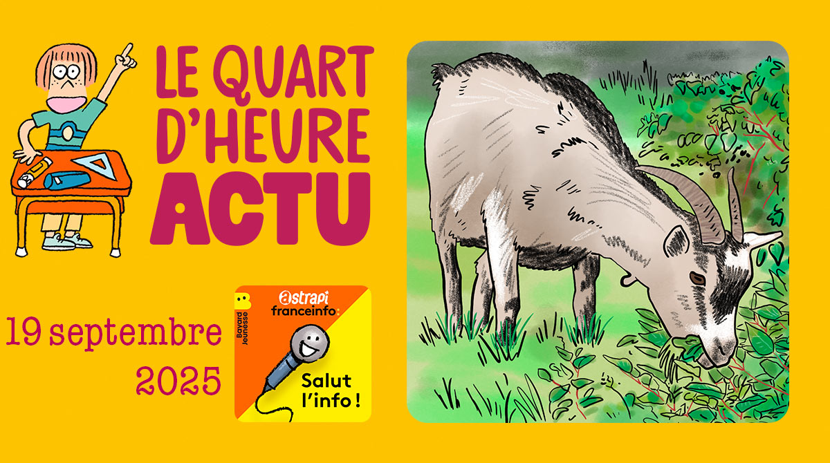 Quart d'heure Actu du 19 septembre 2025. Chèvres écolos. Illustrations : El don Guillermo et Nikol.