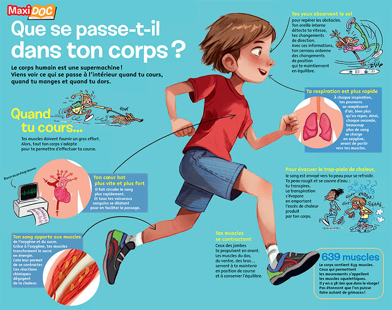 “Que se passe-t-il dans ton corps ?”, Images Doc n°364. Texte : Erick Franck. Illustrations : Sara Gianassi et Sylvain Frécon (humour).